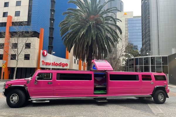 Barbie Hummer Party (3)